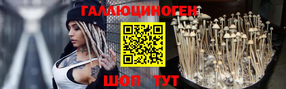 Псилоцибиновые грибы GOLDEN TEACHER  Вход с VPN  Тюмень  сколько стоит  Галлюциногенные грибы ЛСД 