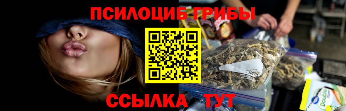 Псилоцибиновые грибы Psilocybine cubensis Тюмень